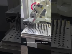 Auto machine for grinding the teeth